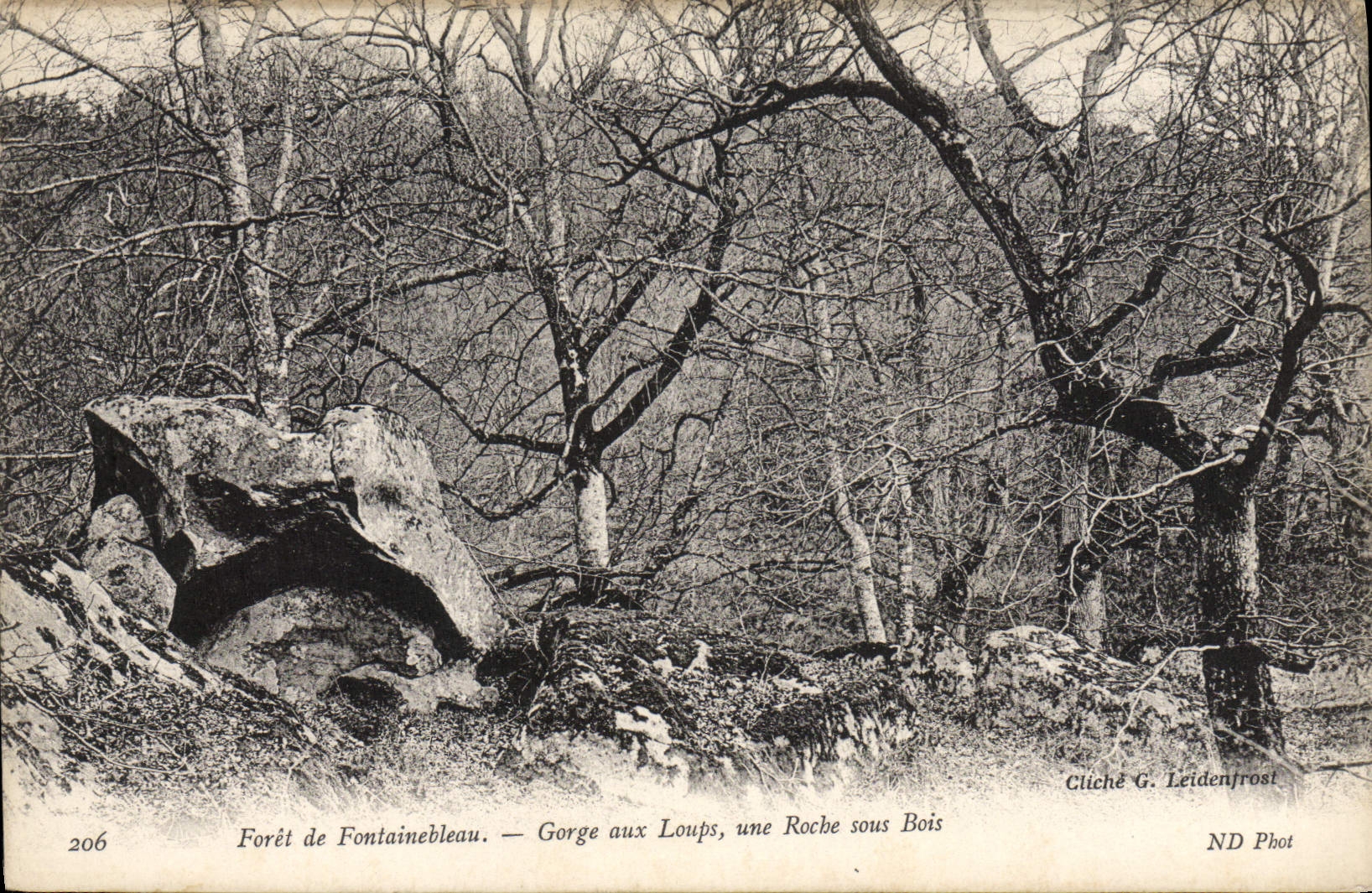 Forêt de Fontainebleau — Gorge aux Loups, eine Felsen unter Bäumen — Foto G. Leidenfrost, ND Phot