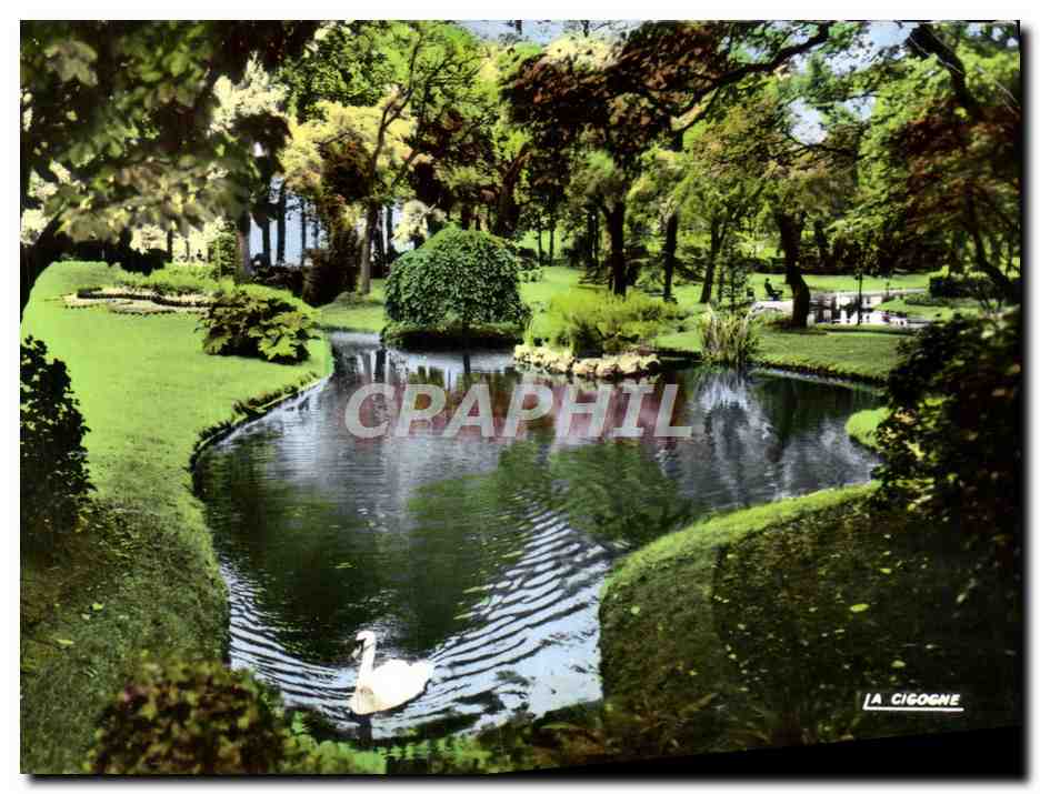 CPM Nantes Le Jardin des Plantes Cygne