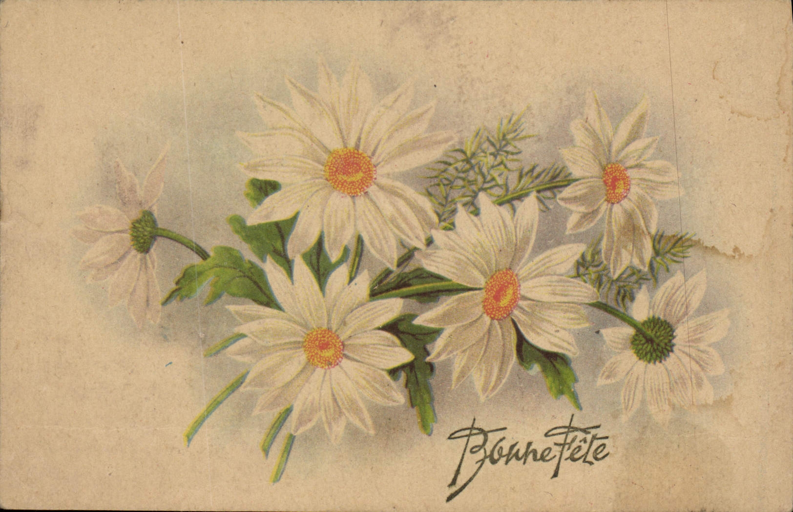 CPA Bonne Fete Fleurs