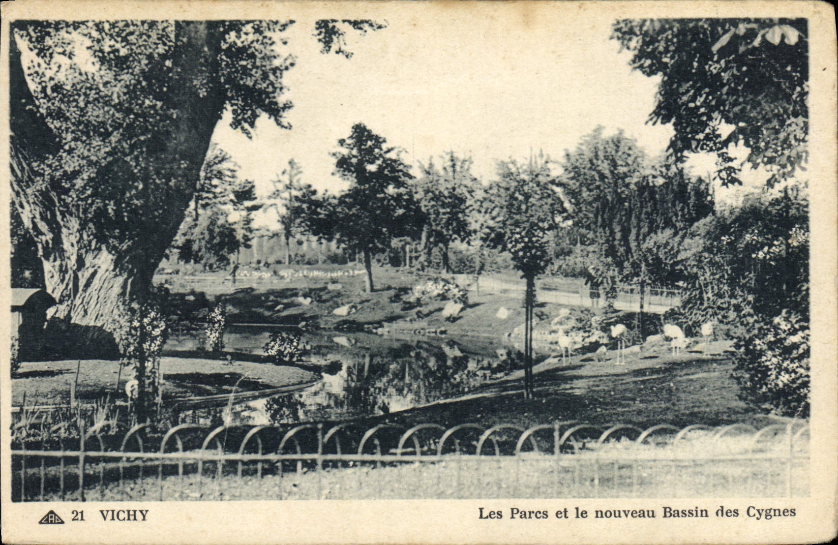 CPA Vichy Les Parcs et le Nouveau Bassin des cygnes 