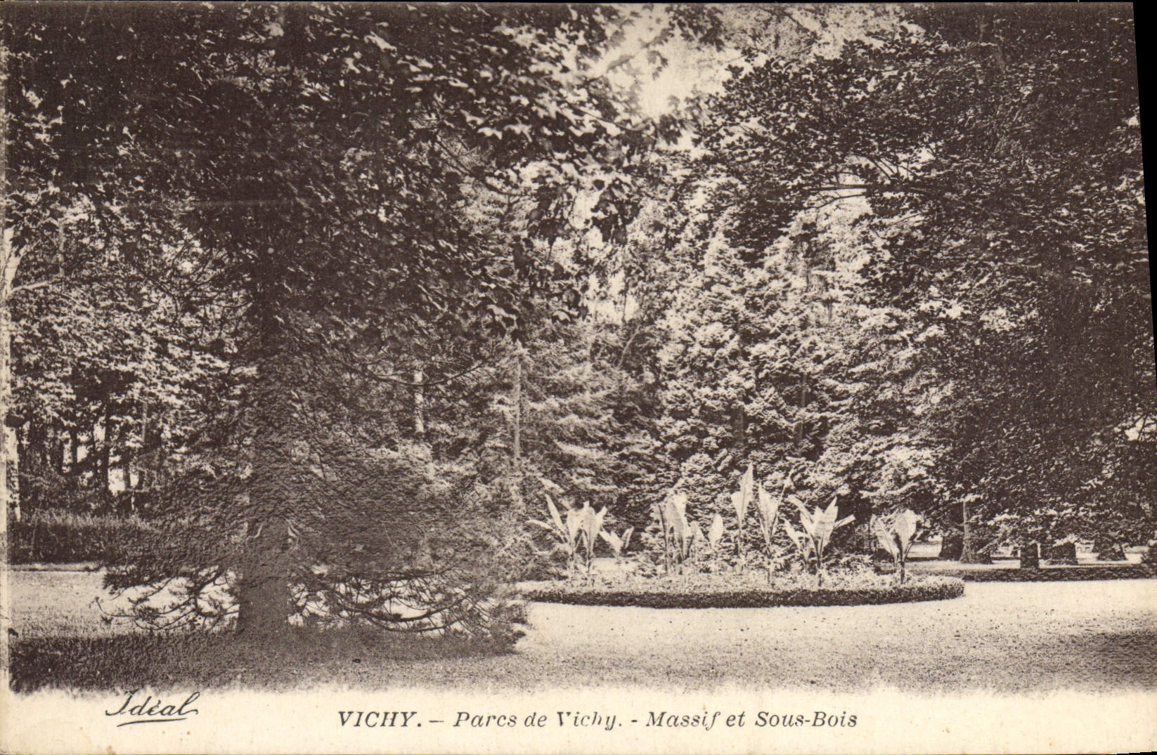 CPA Vichy Parcs De Massif Et Sous Bois