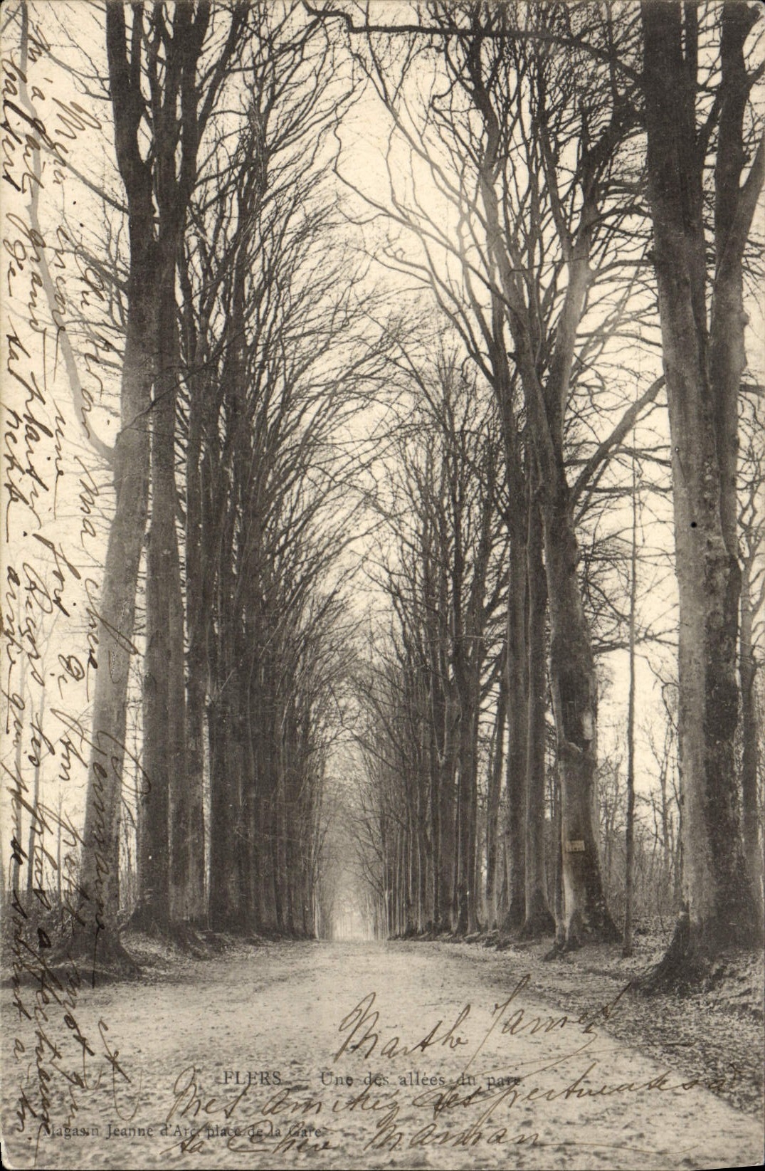 CPA Flers Une Des Allees du parc