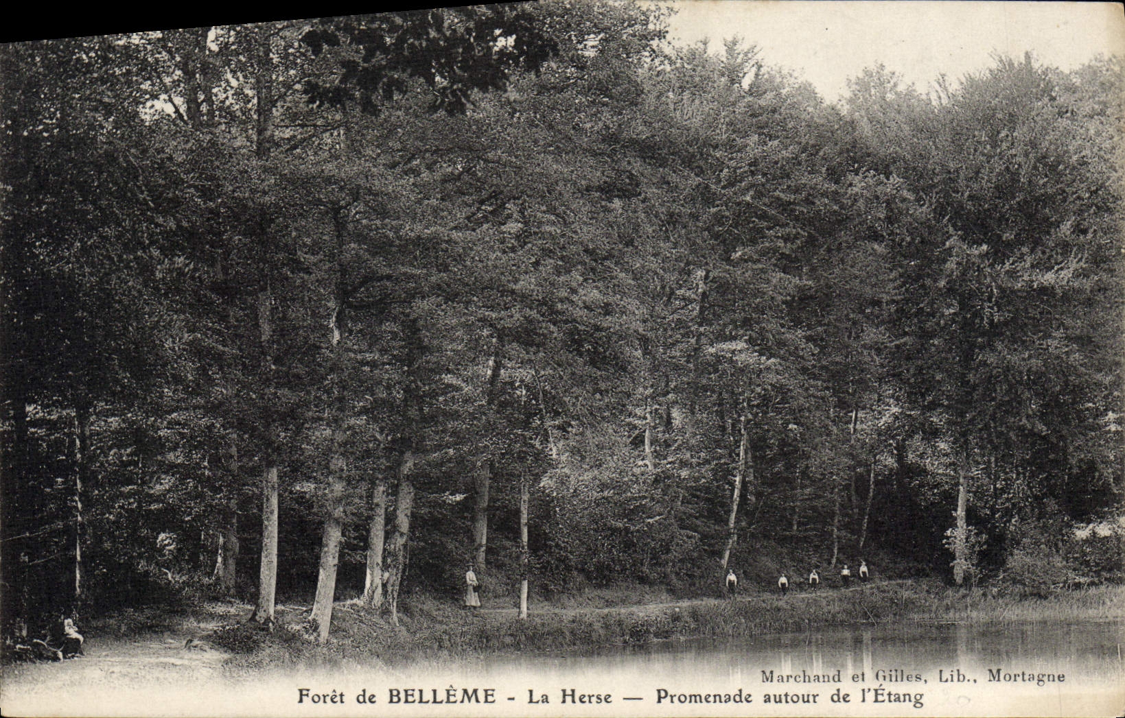 CPA Foret De Belleme La Herse Promenade autour de l'etang