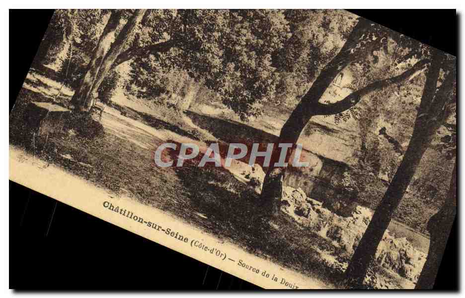 CPA Chatillon Sur Seine Source de la Douix