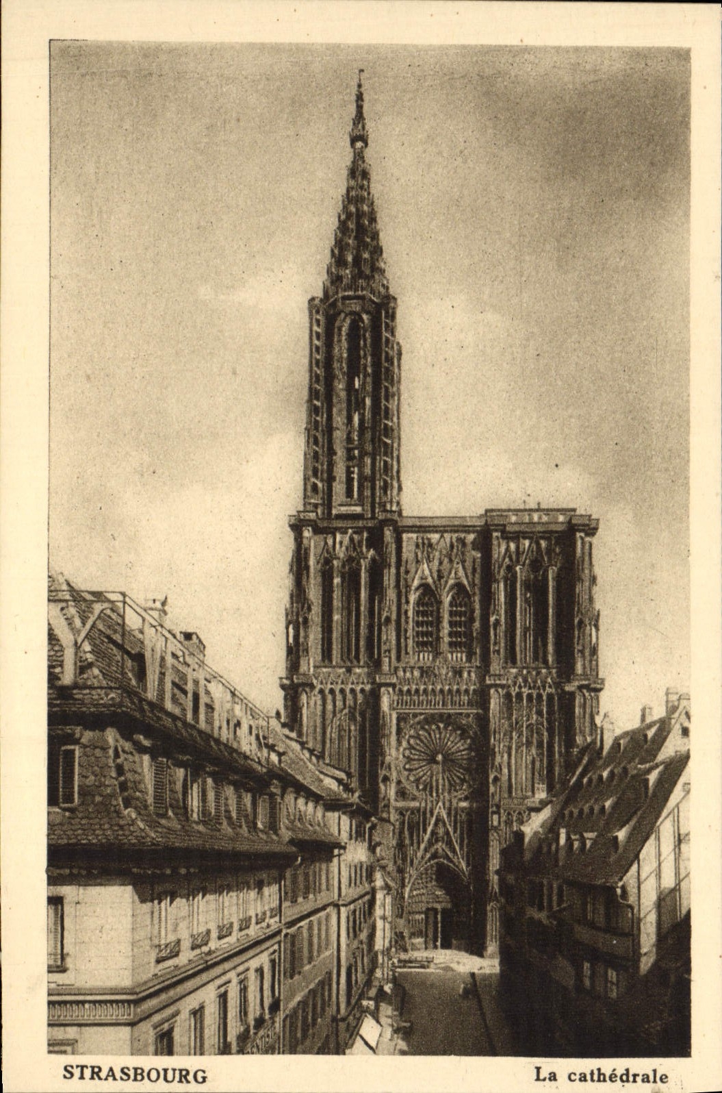 CPA Strasbourg La Cathedrale