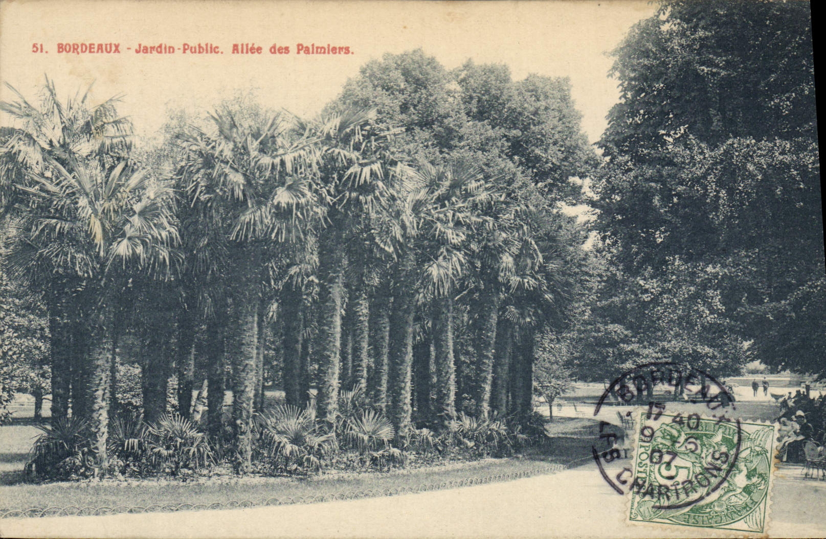 CPA Bordeaux Jardin Public Allee Des Palmiers