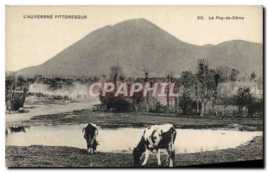 CPA L'Auvergne Pittoresque Le Puy de Dome Vaches