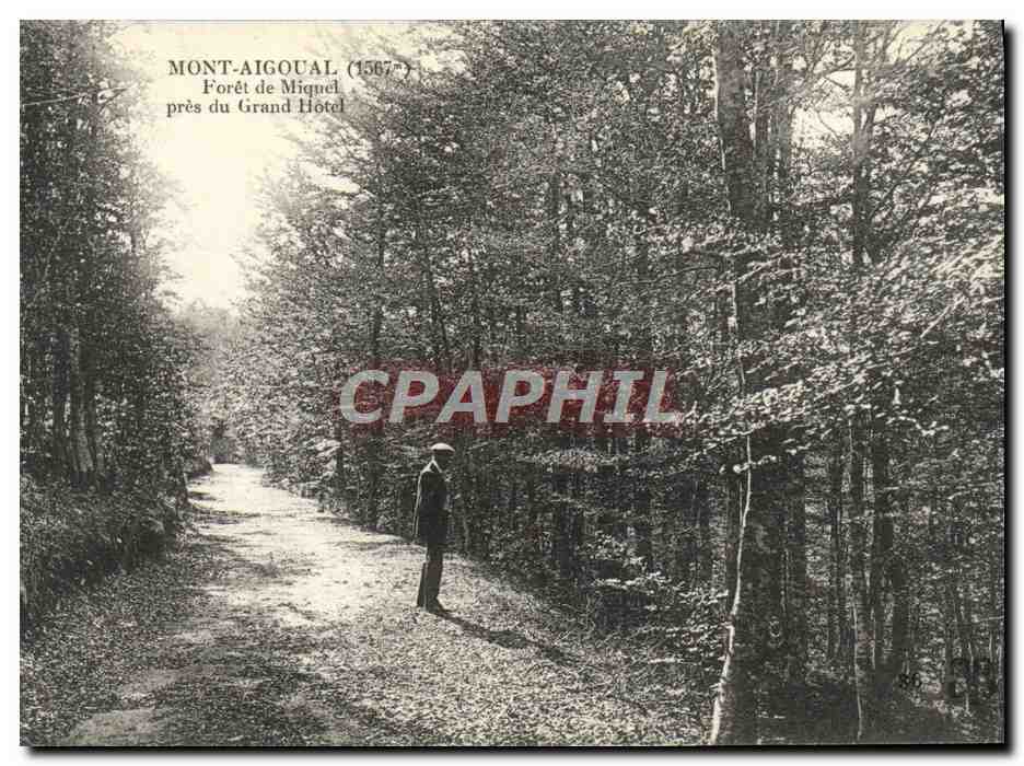 Mont-Aigoual (1567) — Forêt de Miquel près du Grand Hotel — sans éditeur visible