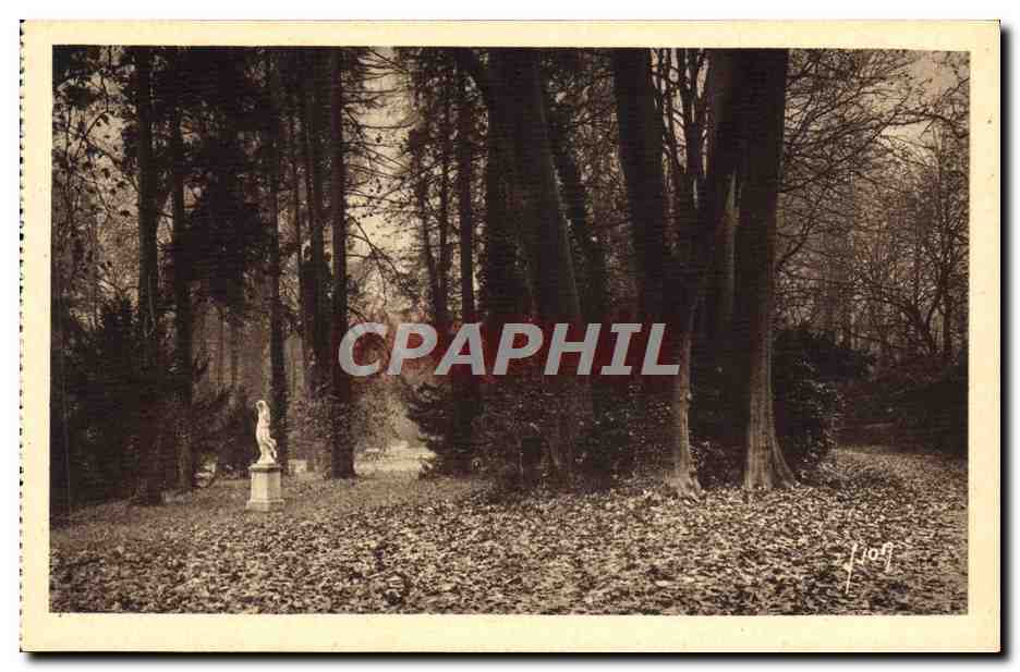 Fontainebleau — Avenue of the Plane Trees — Les Éditions d'Art Yvon, Paris