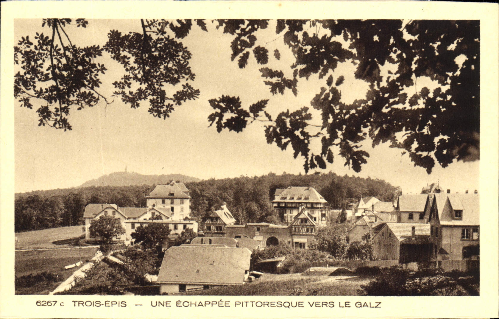 Trois-Epis — Une échappée pittoresque vers le Galz — BRAUN & Cie, Imp. Domach