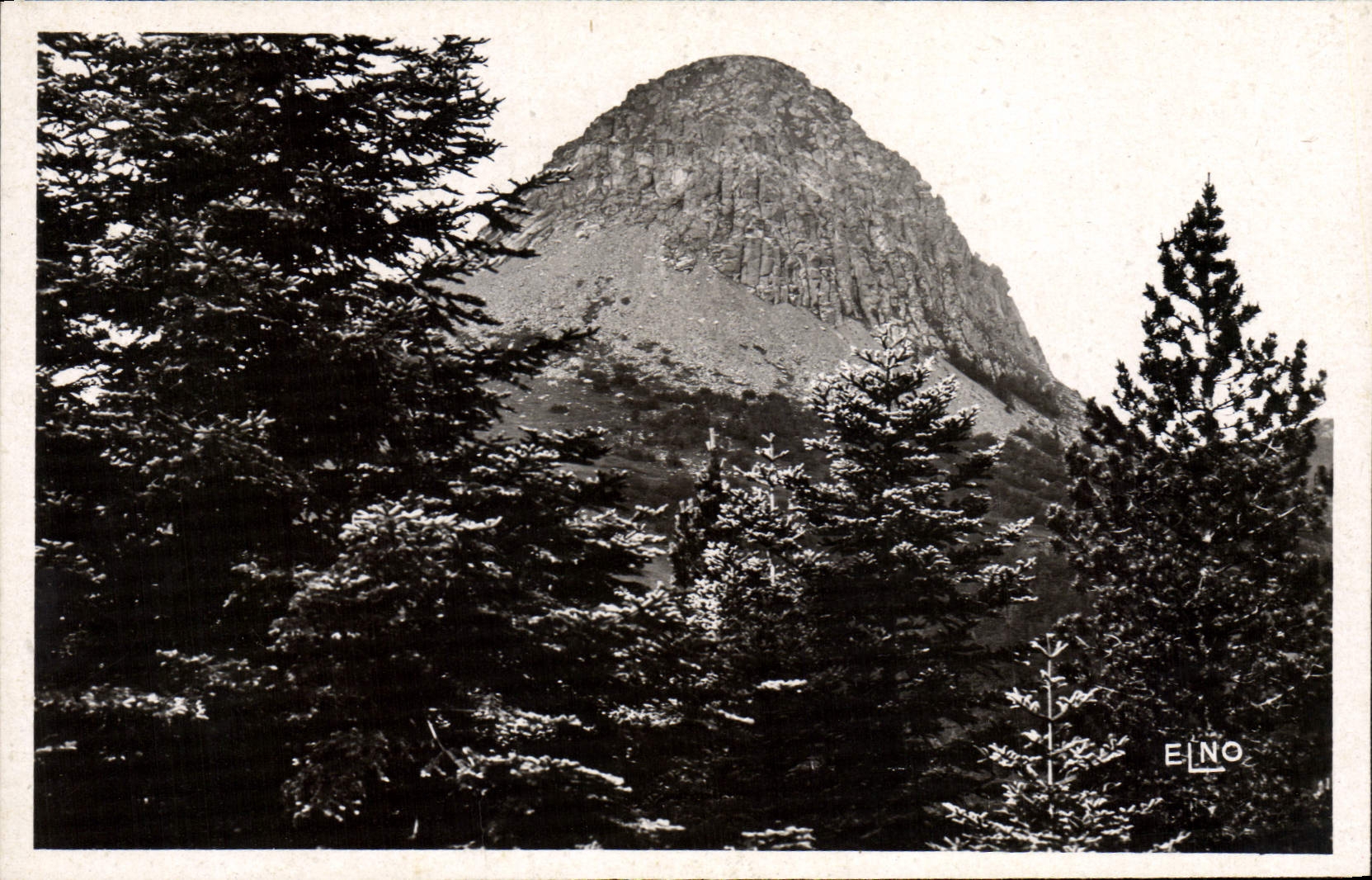 CPA Le Mont Gerbier Des Joncs Vue Prise Du Bois Negre