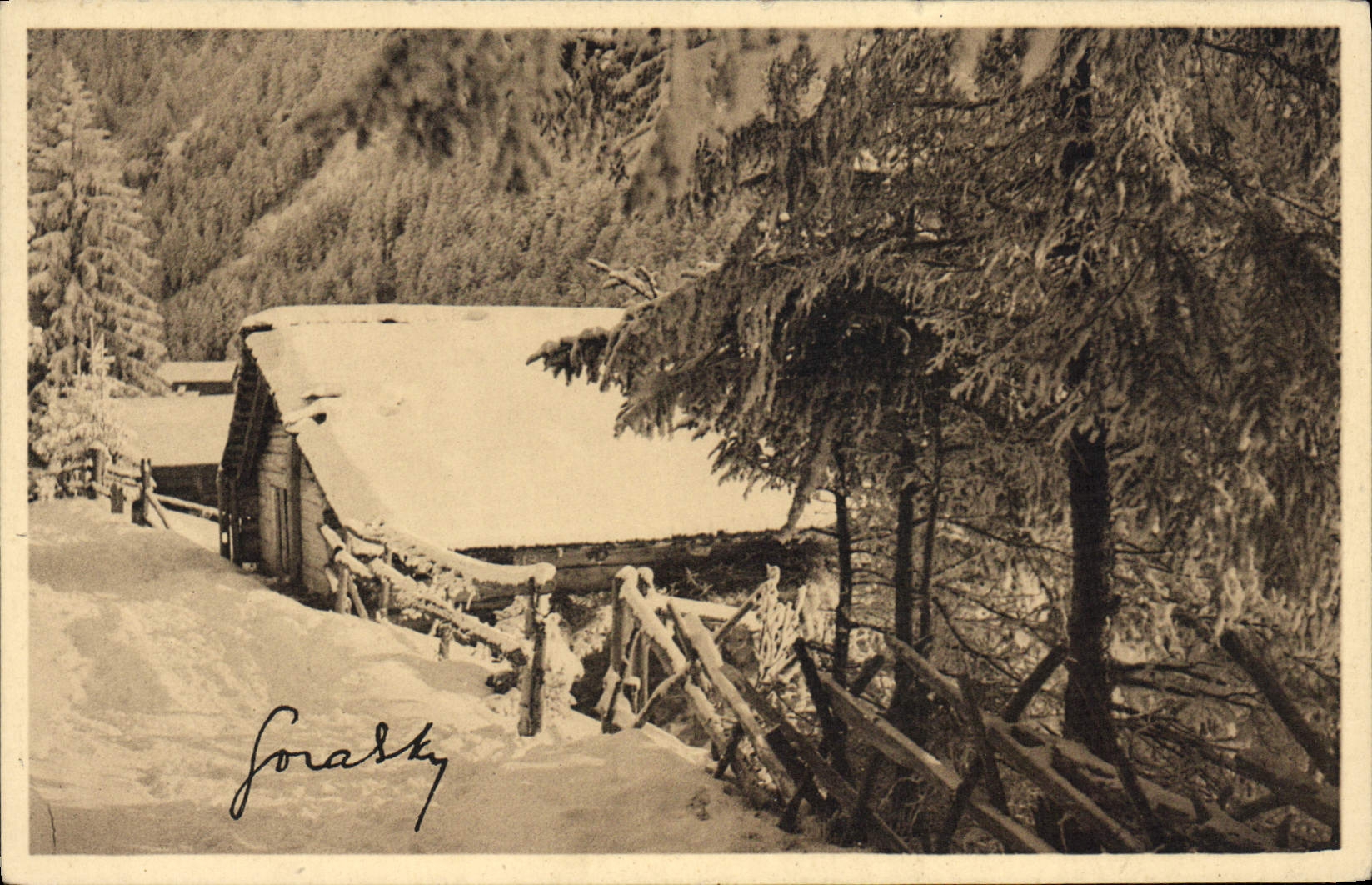 CPA Paysage D'Hiver Dans Les Alpes Maritimes