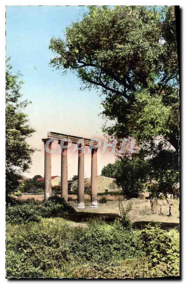 CPM Riez Les Colonnes Romaines