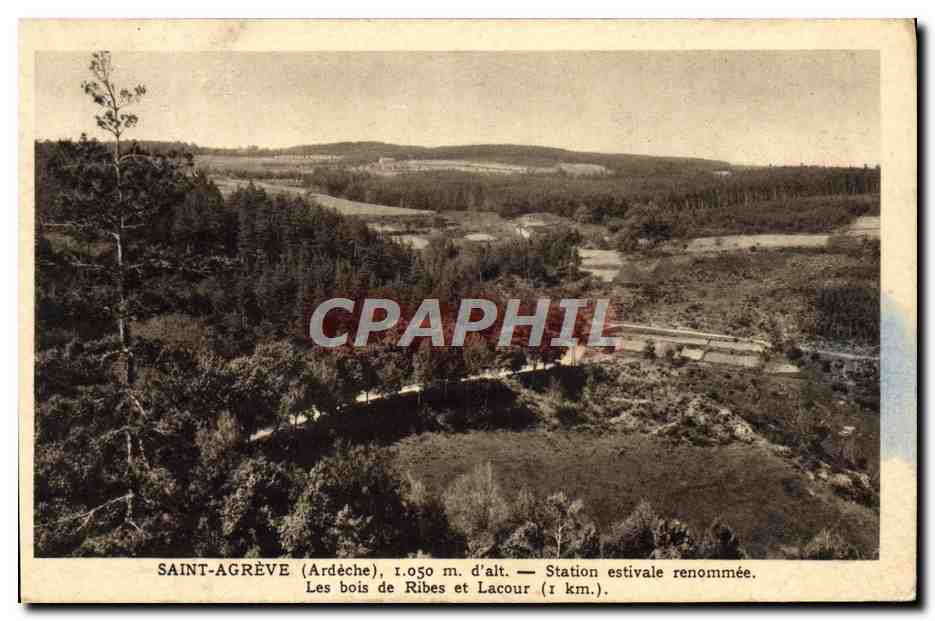 CPA Saint Agreve Station estivale Renommee Les bois de Ribes et Lacour