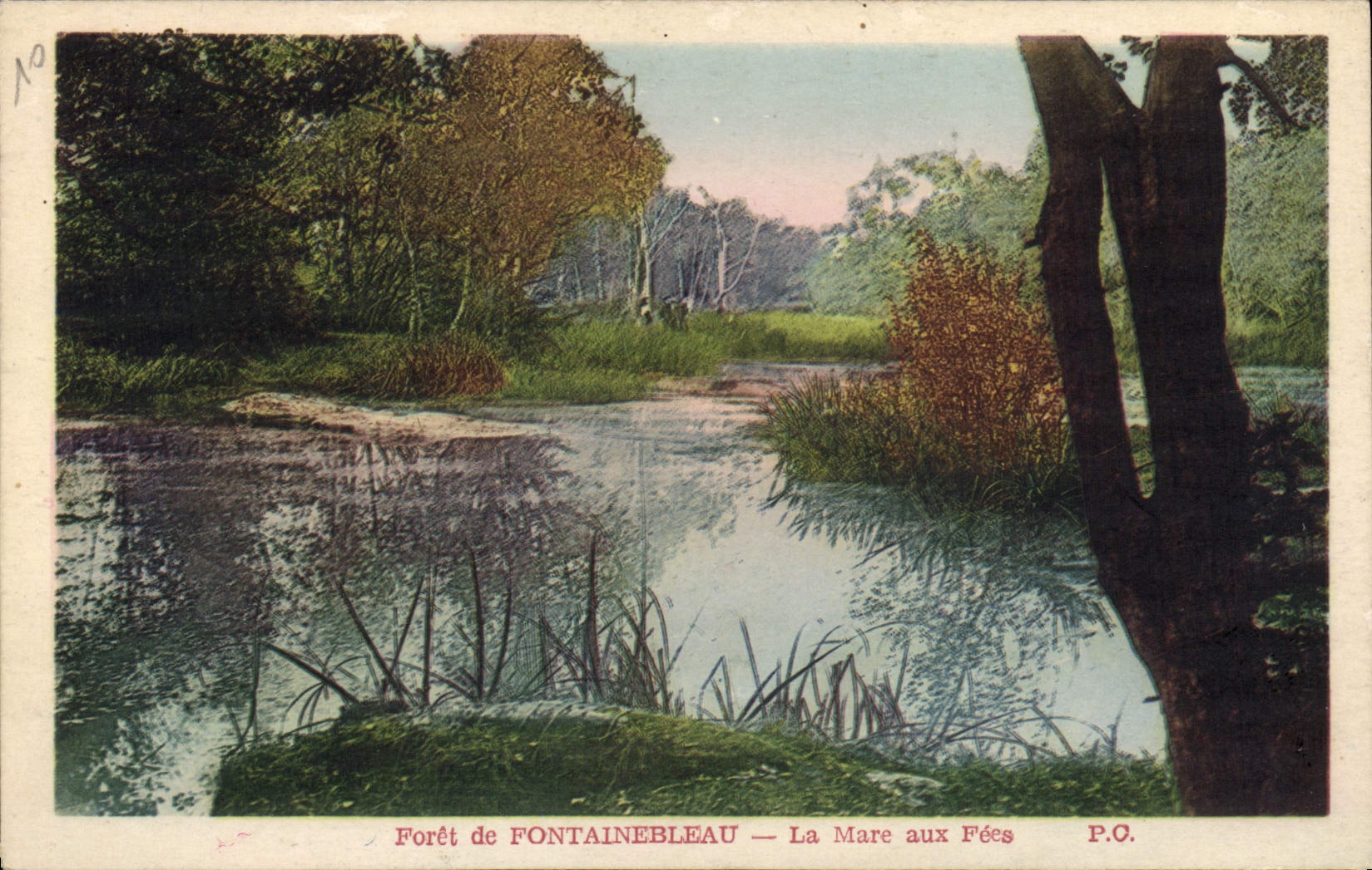 Forêt de FONTAINEBLEAU — La Mare aux Fées — P.O.