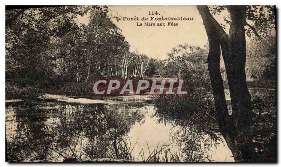 Wald von Fontainebleau — Teich der Fées — n°114