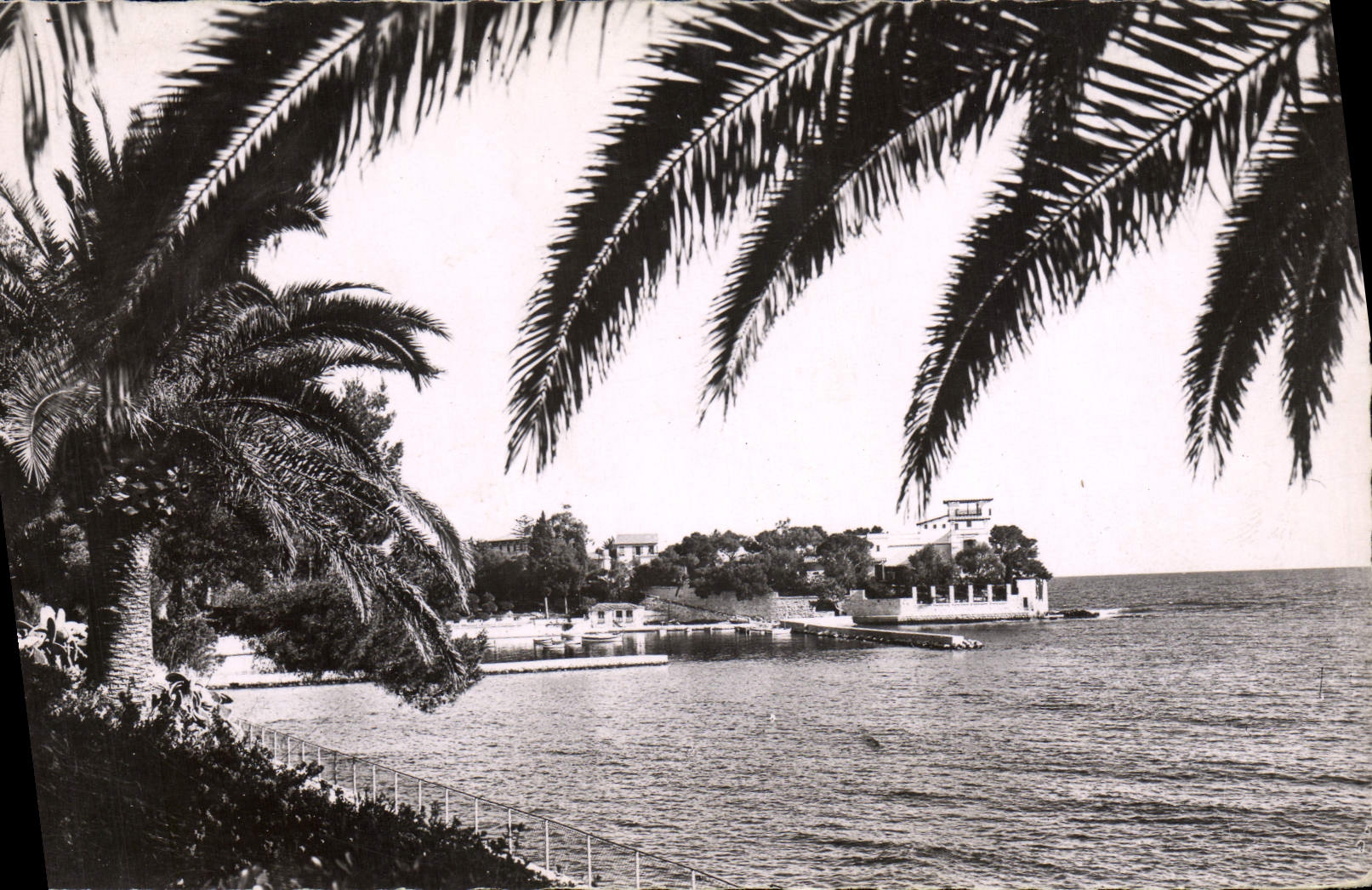 CPA Beaulieu Sur Mer Villa Grecque