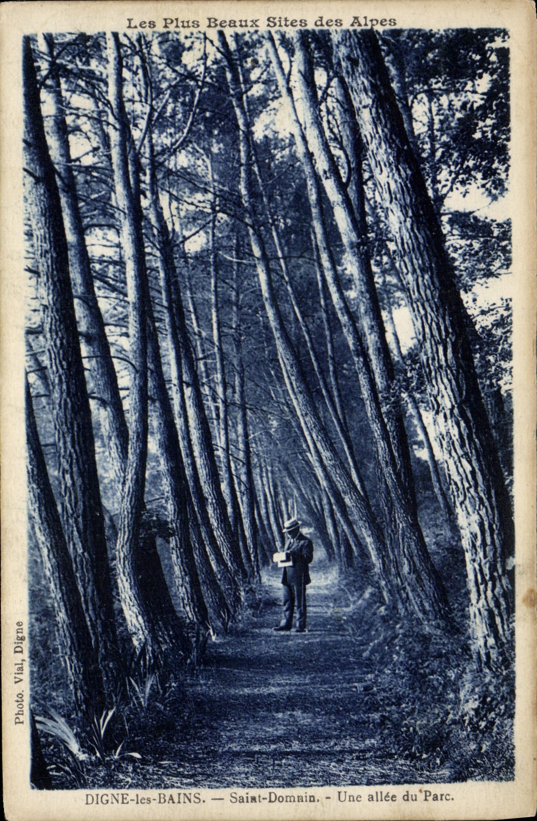 Digne-les-Bains — Saint-Dominin — Une allée du Parc — Photo Vial, Digne