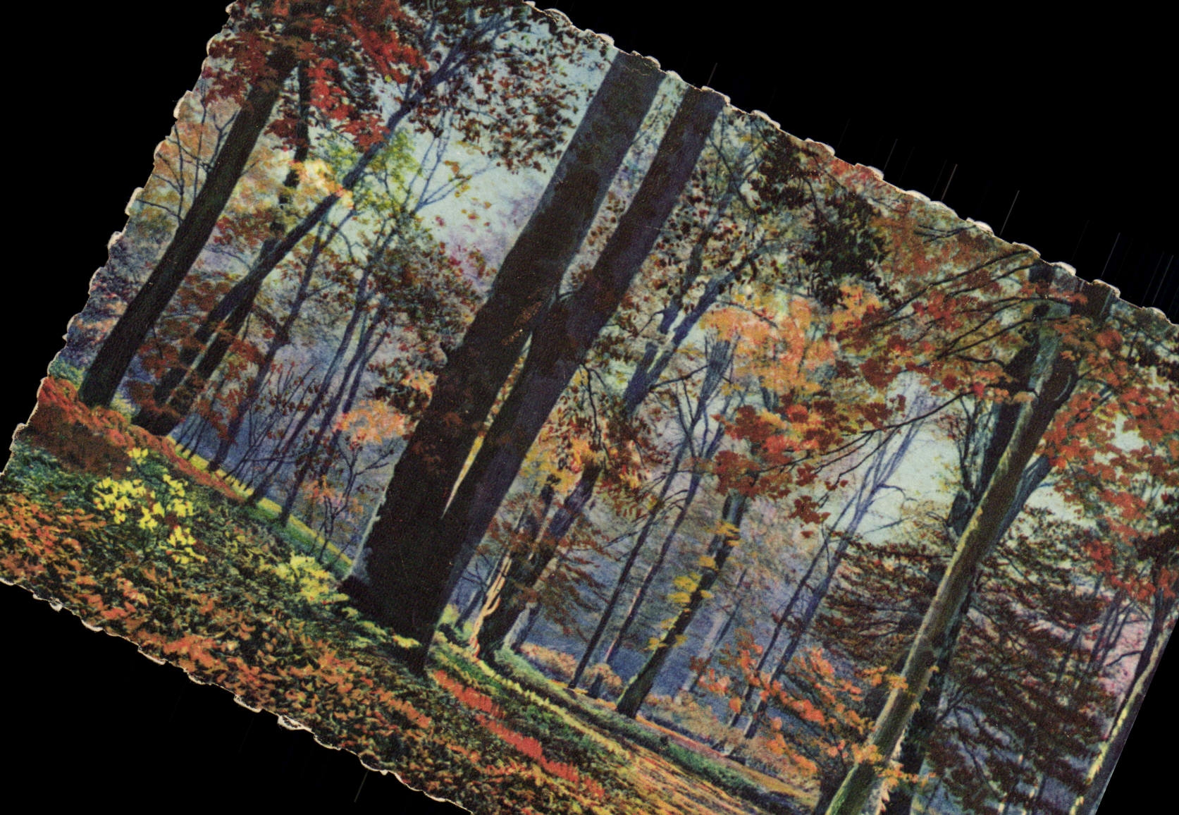 Fontainebleau (S.-et-M.) — Der Wald — Herbstmorgen — La Douce France - Vorderseite