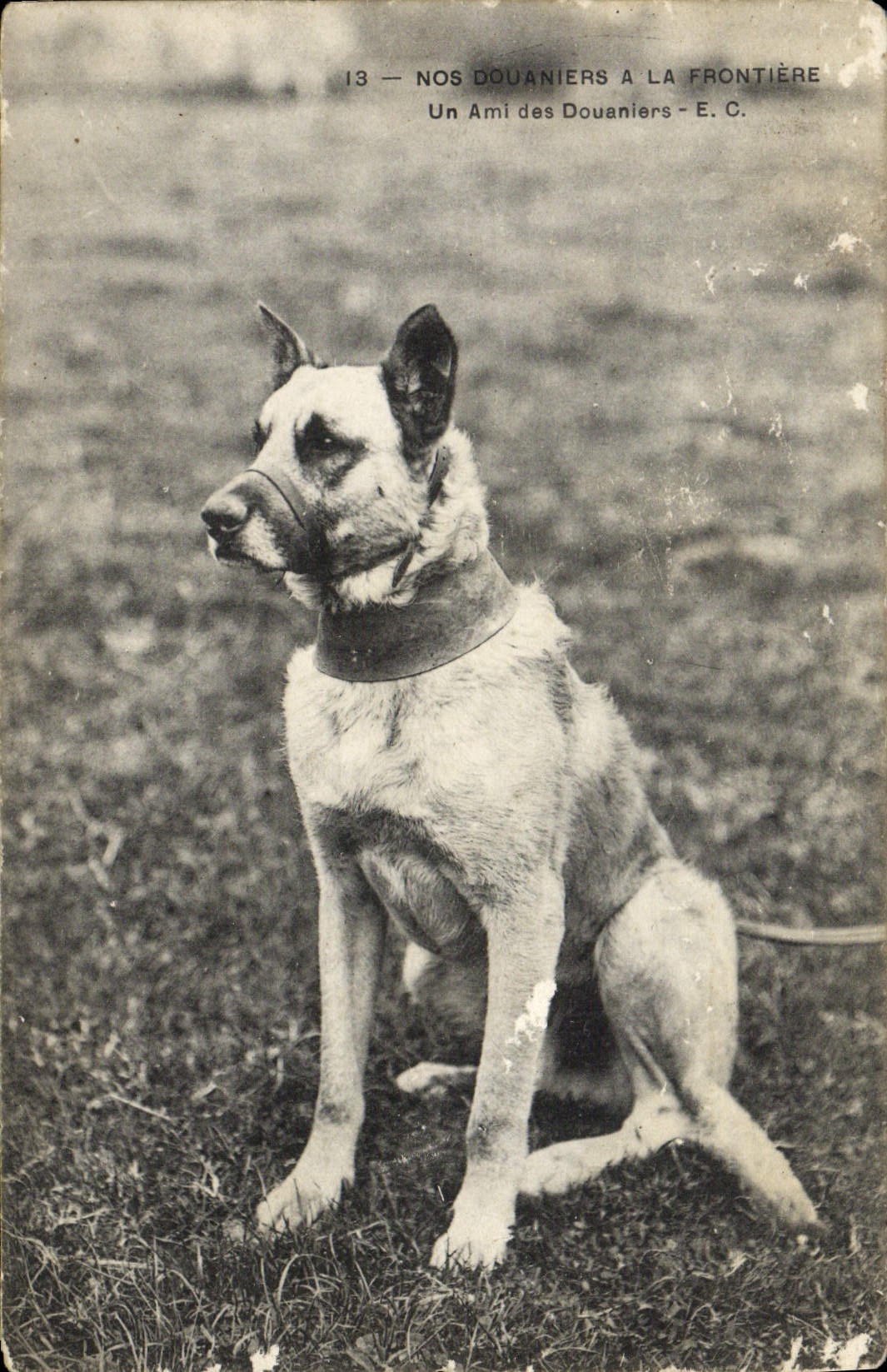 CPA Douanes Nos Douaniers a la frontiere Un ami des douaniers Chien 