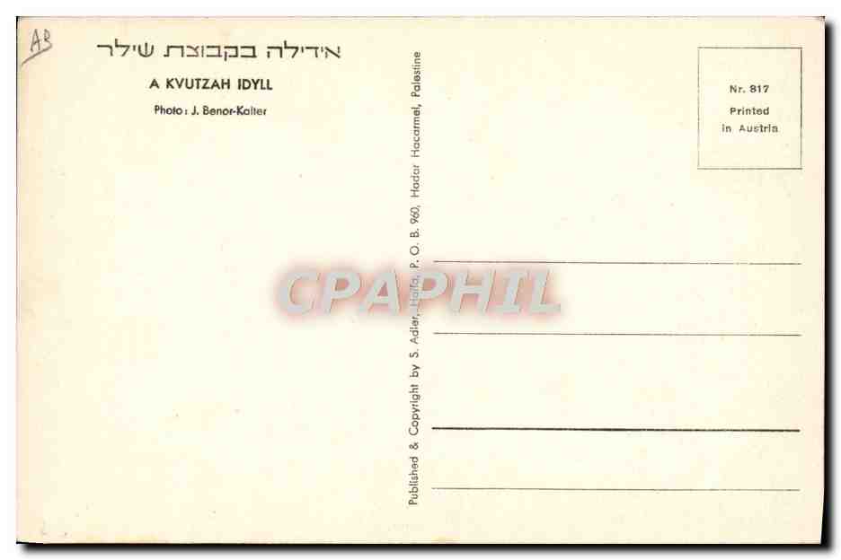 CPM Judaica Juif Israel A Kvutzah Idyll Vaches Veaux — Rückseite