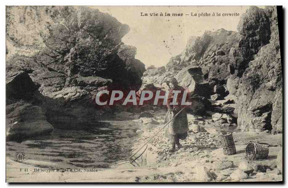 La vie à la mer — La pêche à la crevette — Hélotypie Dupas & Cie, Nantes