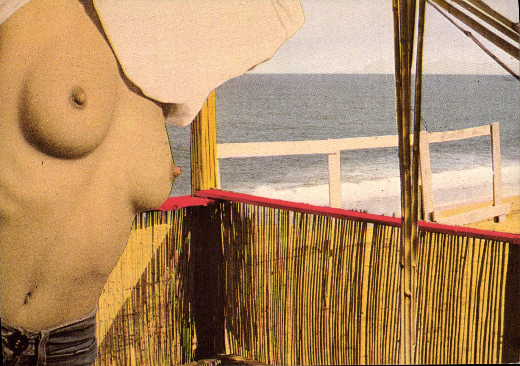 CPM Nu erotique Illustrateur Didier Gaillard