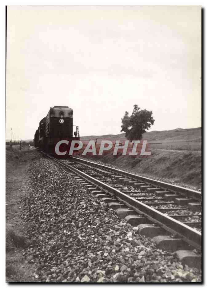 CPM Train Tunisie Tunisian National Railways SNCFT entre Souk el Arba et Ghardimaou 