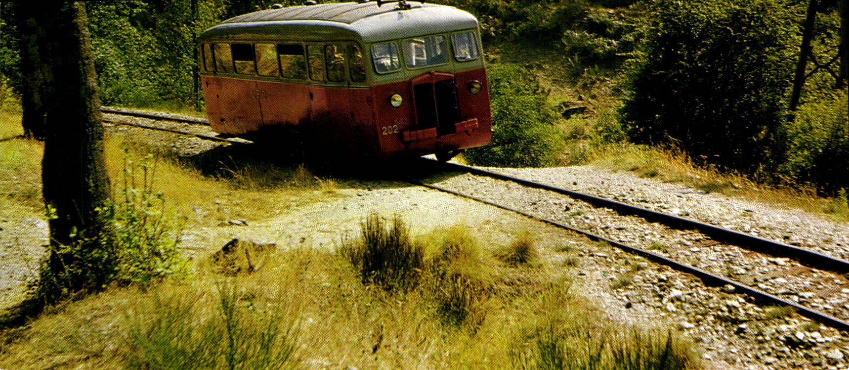 CPM Train CFD Ligne de la Lozere Autorail de Dion entre St Julien d'Arpaon et Florac