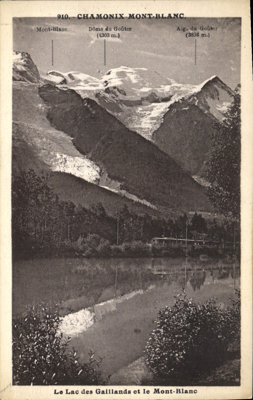 CPA Chamonix Mont Blanc Le alc des Gaillands et le Mont Blanc
