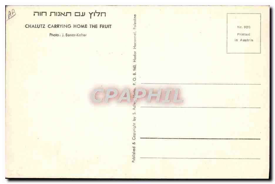CPM Judaica Juif Israel Chalutz Carrying Home the fruit Banana Bananes — Rückseite