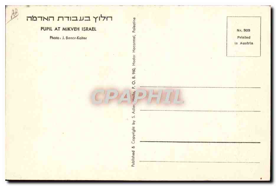 CPM Judaica Juif Pupil at Mikveh Israel  — Rückseite