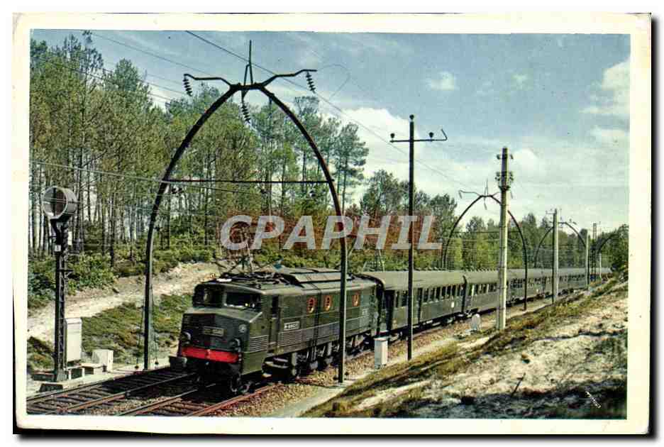 CPM Train A travers les Landes entre Bordeaux et Irun