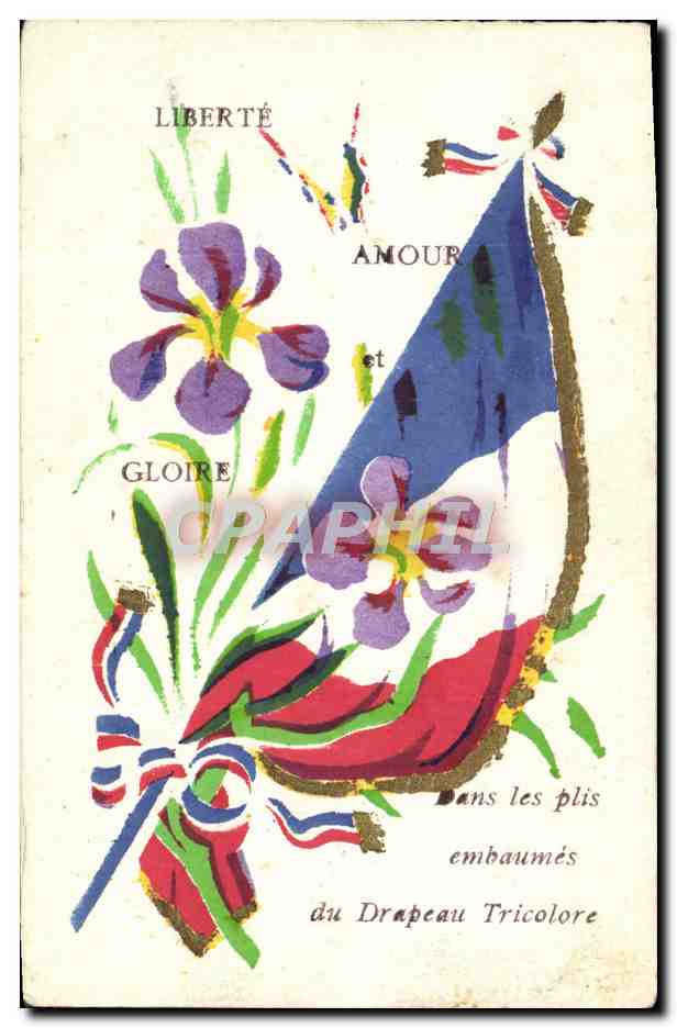 CPA Militaria Drapeau France 