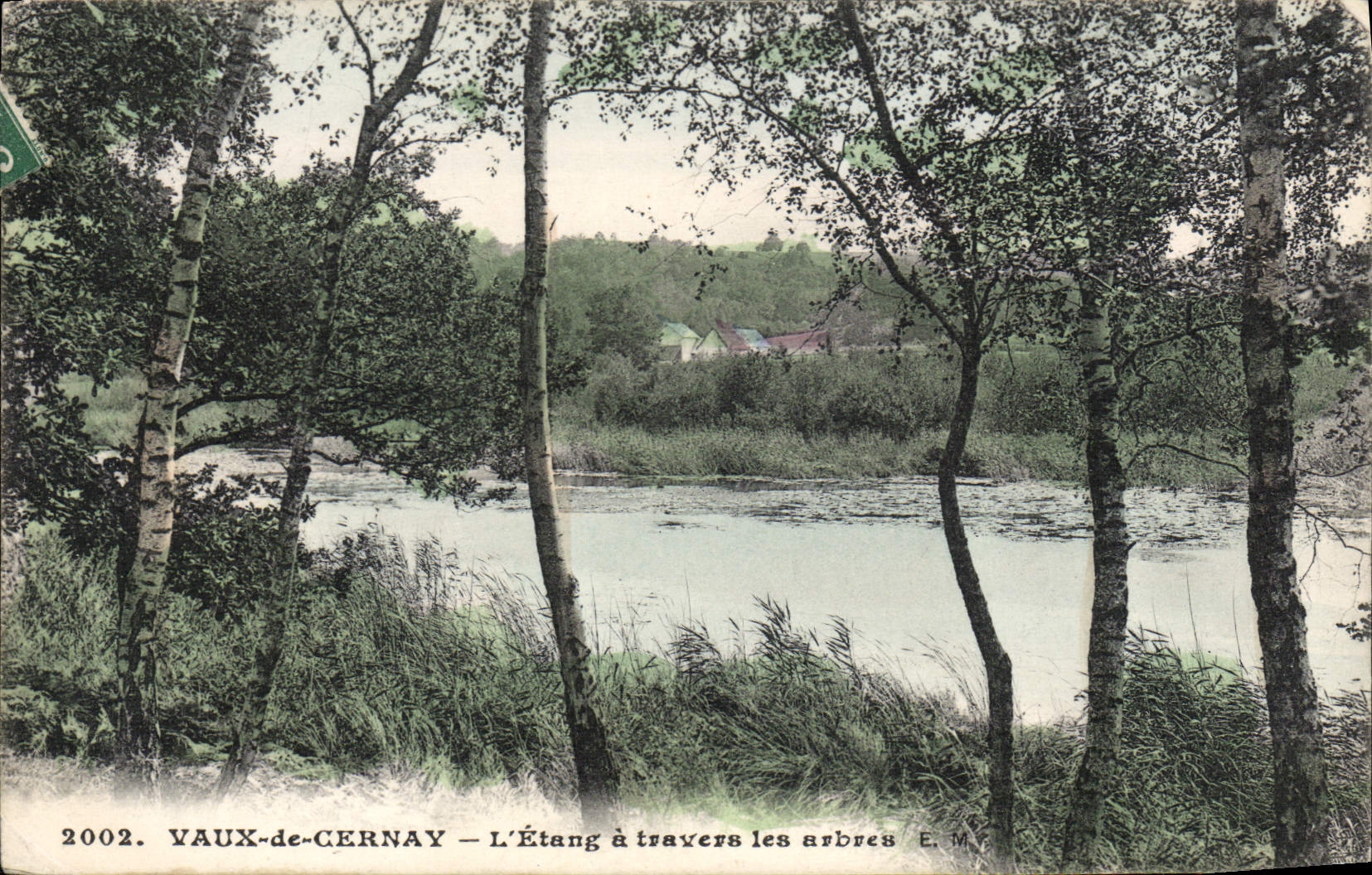 CPA Vaux de Cernay L'Etang a Travers les arbres