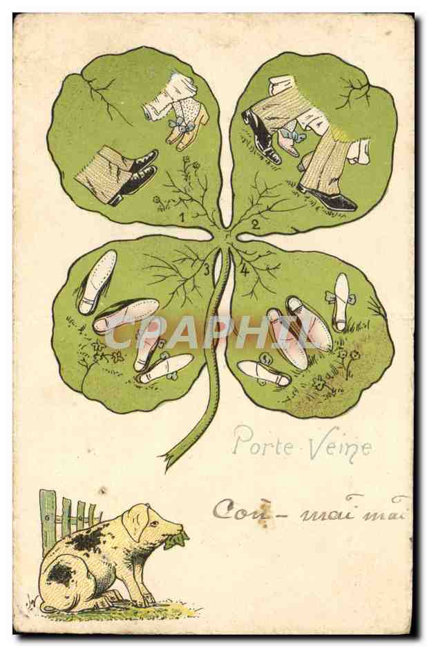 CPA Femme Nu erotique Cochon Porc Indochine