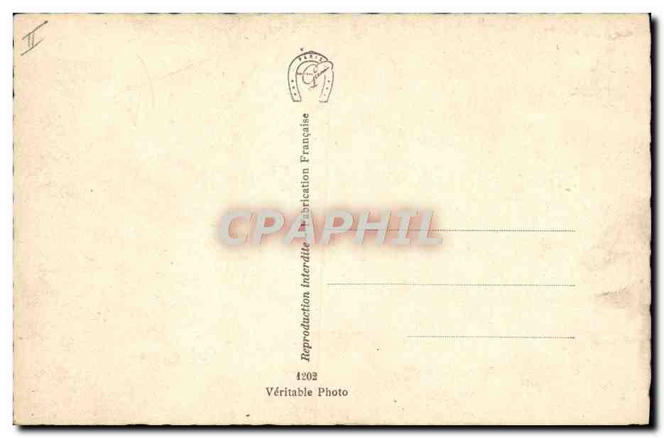 Voile — Bateau à voile avec inscription F 47 — Véritable Photo — Rückseite