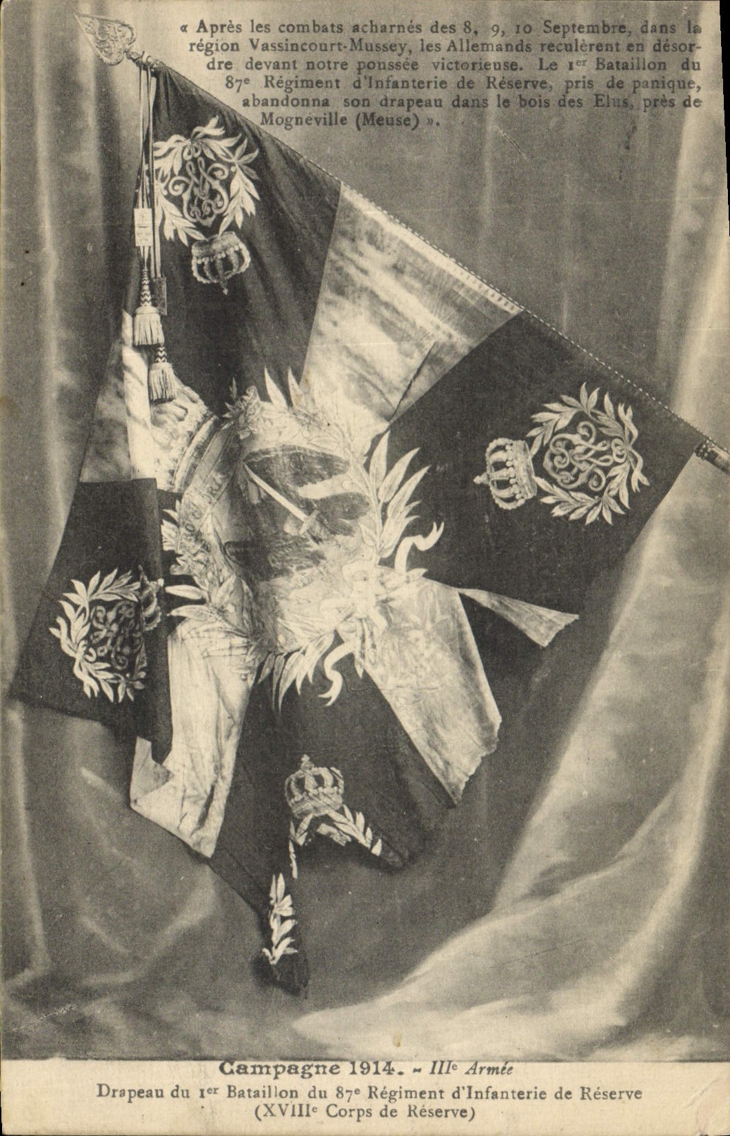 CPA Militaria Drapeau du 1er bataillon du 87eme regiment d'infanterie de reserve 