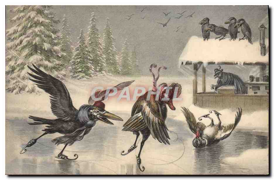 CPA Sports d'hiver Patinage Oiseaux Corbeaux 
