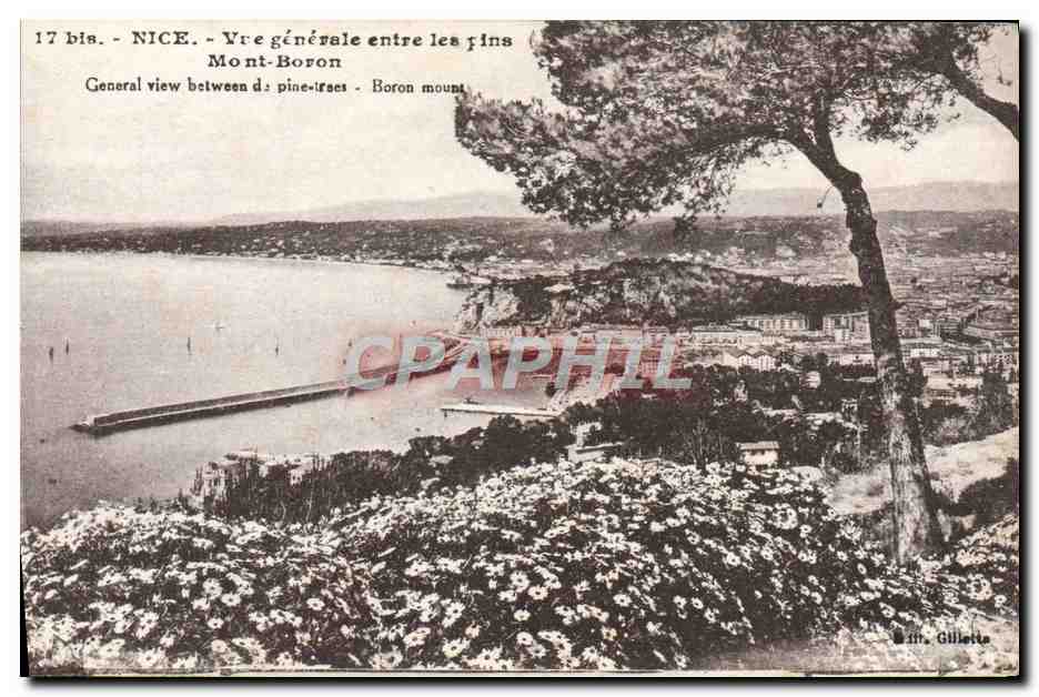 CPA Nice Vue Generale Entre Les Pins Mont Boron