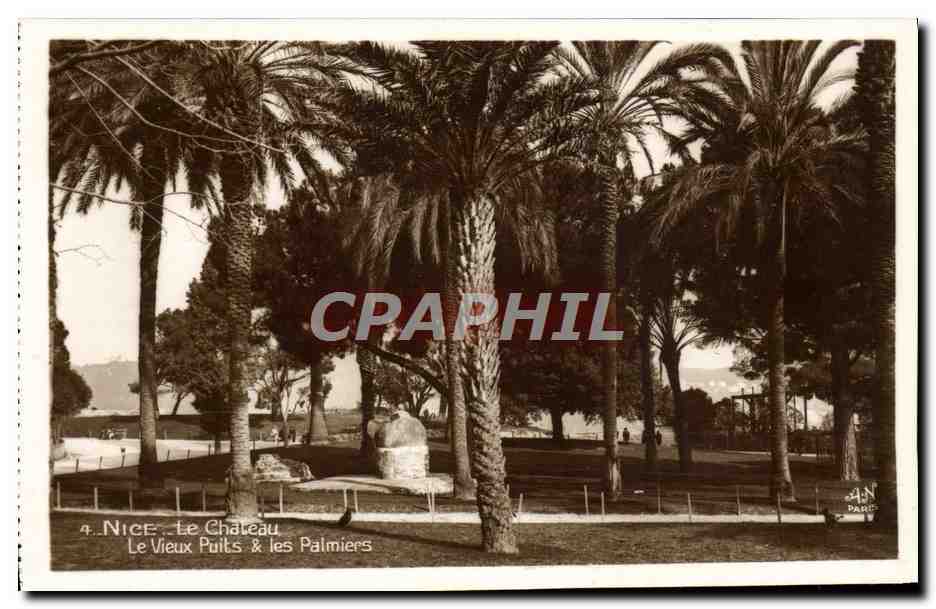 CPA Nice Le Chateau Le Vieux Puits et Les Palmiers