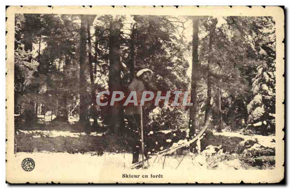 CPA Sports d'hiver Ski Skieur en foret