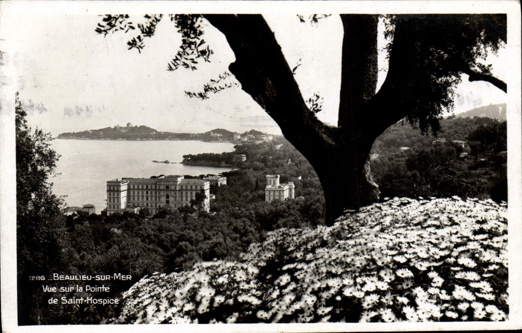 CPA Beaulieu Sur Mer Vue Sur La pointe de Saint Hospice