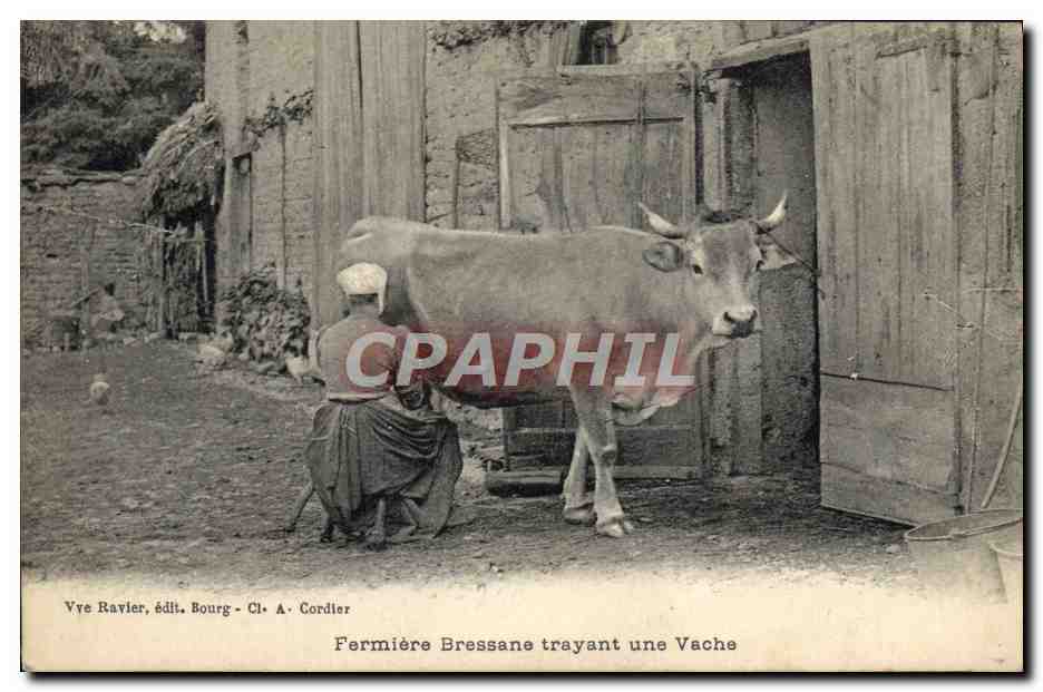 CPA Folklore Fermiere Bressane trayant une vache TOP