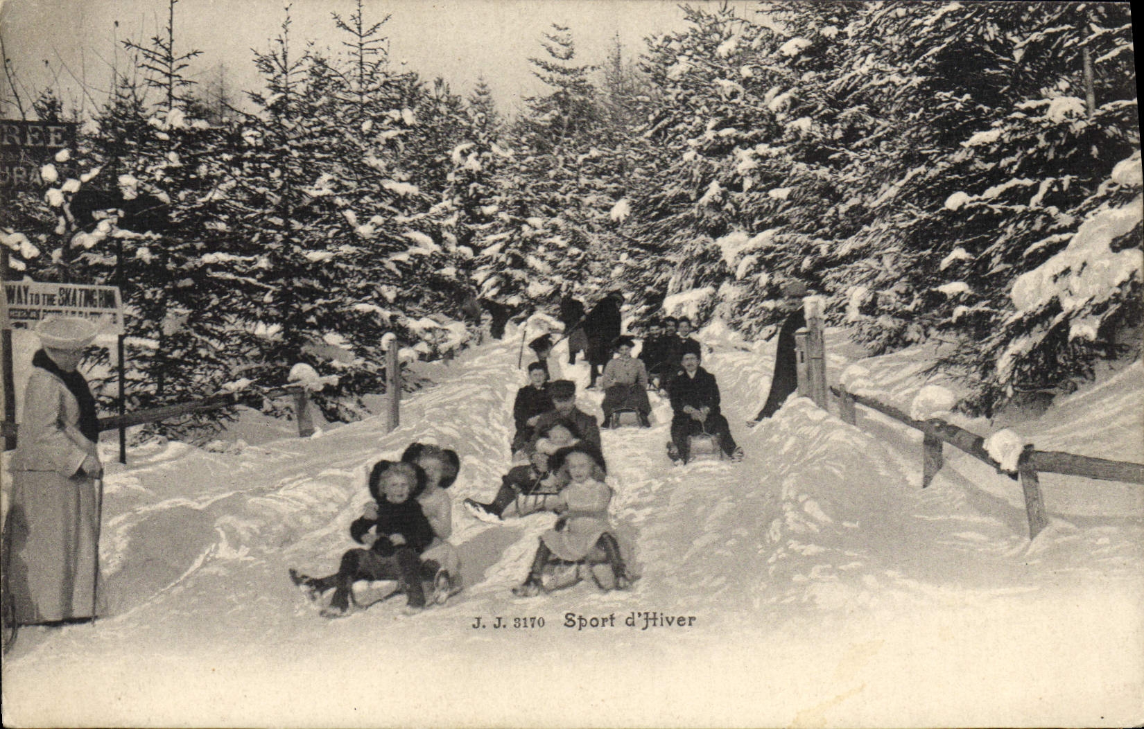 Sport d'Hiver — descente en traîneau — J. J. 3170