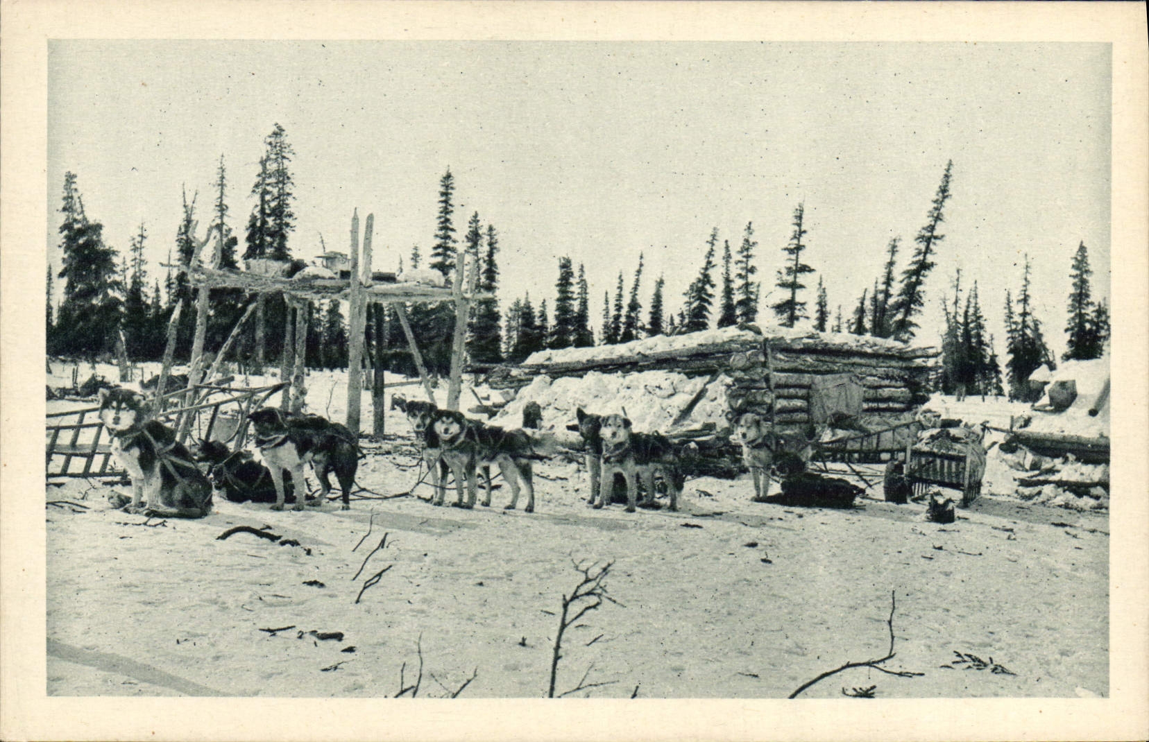 Chiens de traîneau — Alaska — Imprimeries Réunies du Navey, Série 5