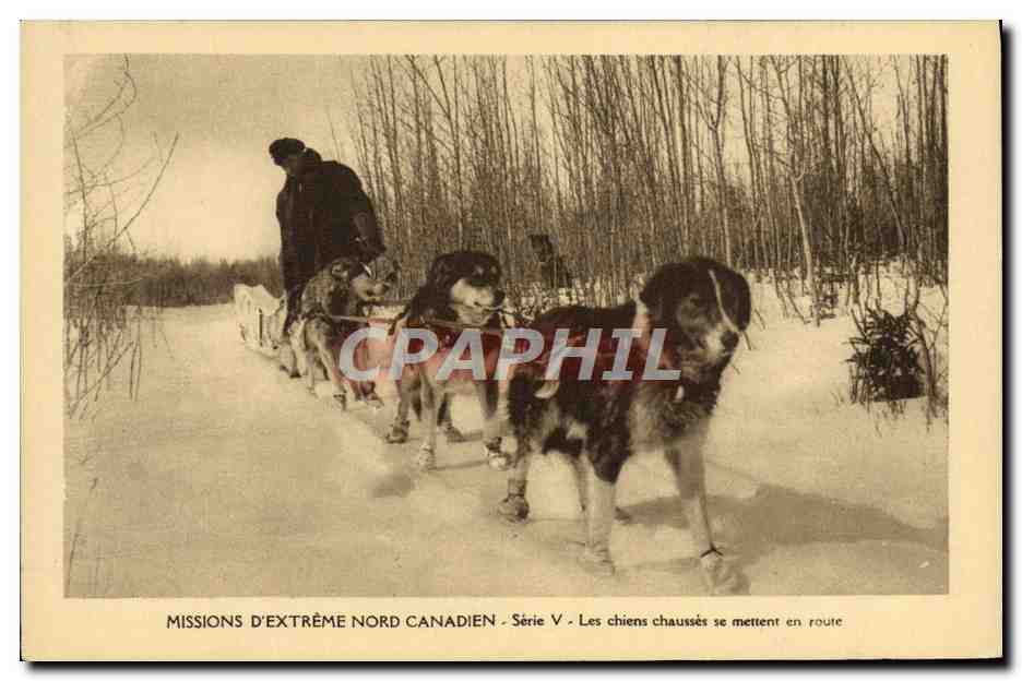 Chiens chaussés se mettent en route — Missions d'extrême Nord Canadien — Série V — Éditeur : Missions d'extrême Nord Canadien