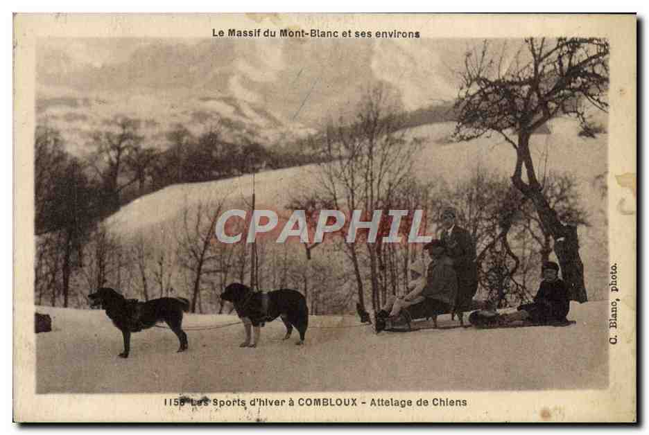 Comboloux — Attelage de Chiens — Q. Blanc, photo.