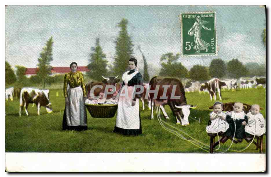 CPA Folklore Lait Femmes Bebes Vaches