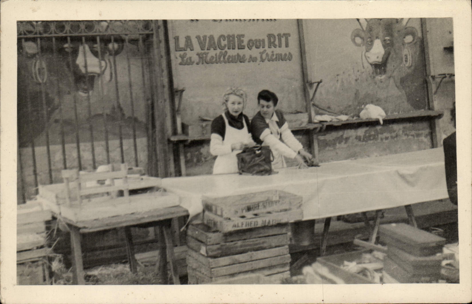 CARTE PHOTO la Vache qui rit Cremes Folklore Lait 